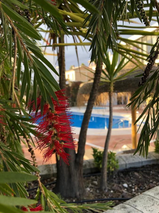 Hotel Mencia Subbetica Doña Mencía Dış mekan fotoğraf