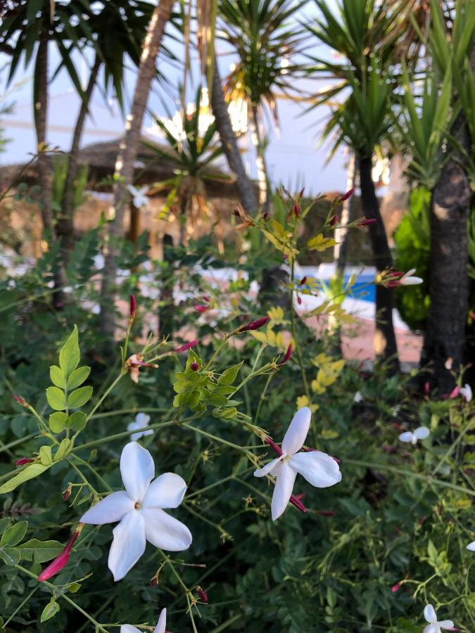 Hotel Mencia Subbetica Doña Mencía Dış mekan fotoğraf